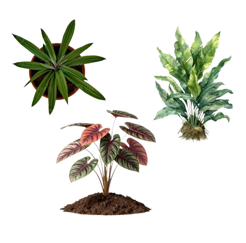 Plant technology support